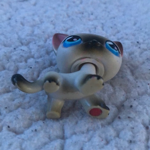 LPS - Picture 2 of 3